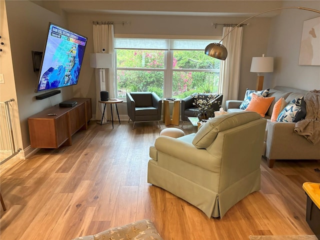 20938 Sunsweet Ct, Land O Lakes, FL 34637 - living area with light wood-style floors