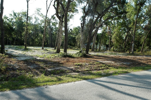 0 Juniper Ave, Webster, FL 33597