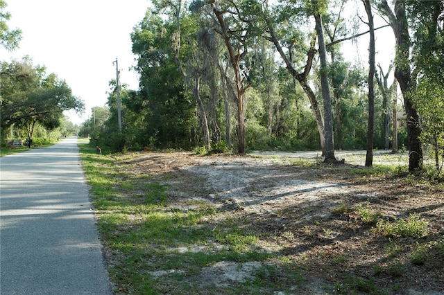 0 Juniper Ave, Webster, FL 33597