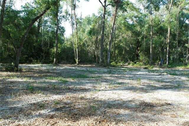 0 Juniper Ave, Webster, FL 33597