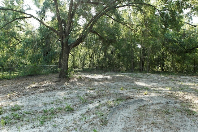 0 Juniper Ave, Webster, FL 33597
