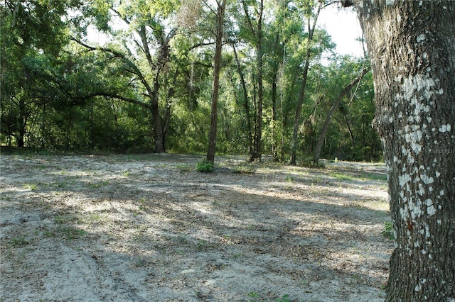 0 Juniper Ave, Webster, FL 33597