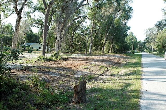 0 Juniper Ave, Webster, FL 33597