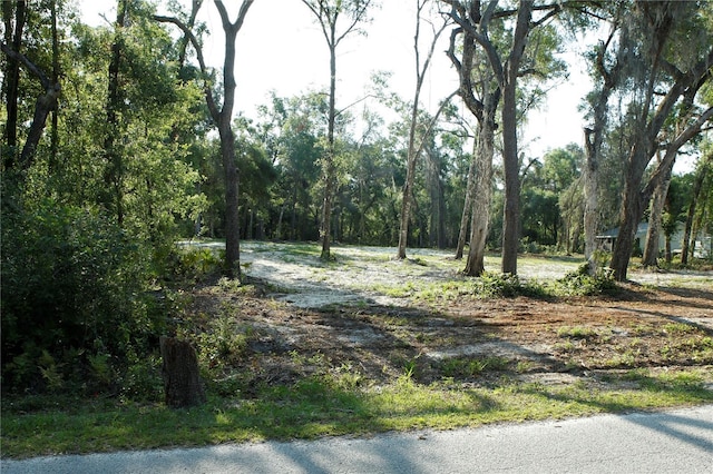 0 Juniper Ave, Webster, FL 33597