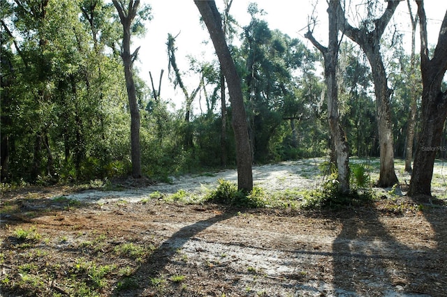 0 Juniper Ave, Webster, FL 33597