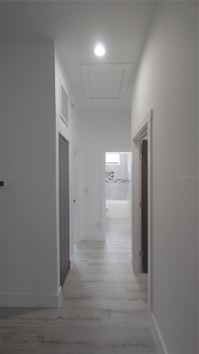 7011 N 15th St, Tampa, FL 33610 - hall featuring light wood-style floors and baseboards