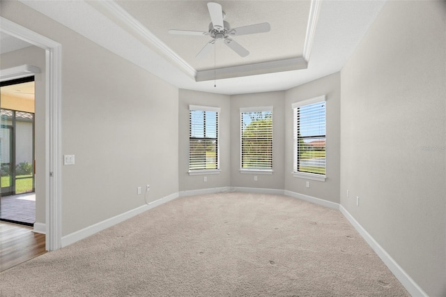 11354 Callisia Dr, Odessa, FL 33556 - carpeted spare room with a raised ceiling, a ceiling fan, baseboards, and ornamental molding