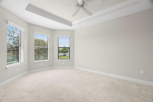 11354 Callisia Dr, Odessa, FL 33556 - empty room with a tray ceiling, light colored carpet, baseboards, and ornamental molding