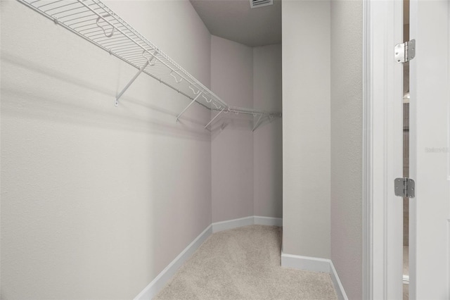 11354 Callisia Dr, Odessa, FL 33556 - walk in closet with carpet