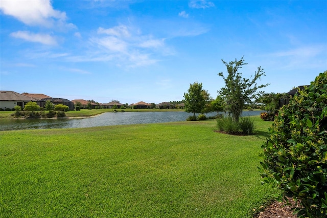 11354 Callisia Dr, Odessa, FL 33556 - view of green lawn featuring a water view and a residential view