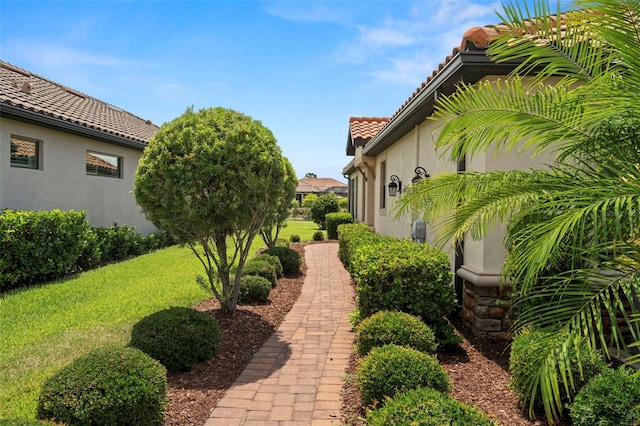11354 Callisia Dr, Odessa, FL 33556 - view of green lawn