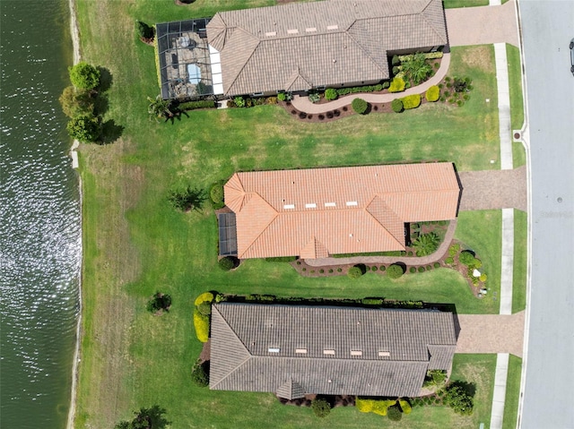 11354 Callisia Dr, Odessa, FL 33556 - bird's eye view of a large body of water