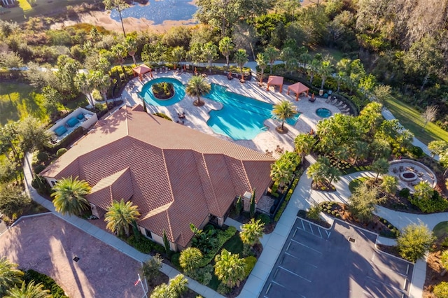 11354 Callisia Dr, Odessa, FL 33556 - view of subject property with a pool