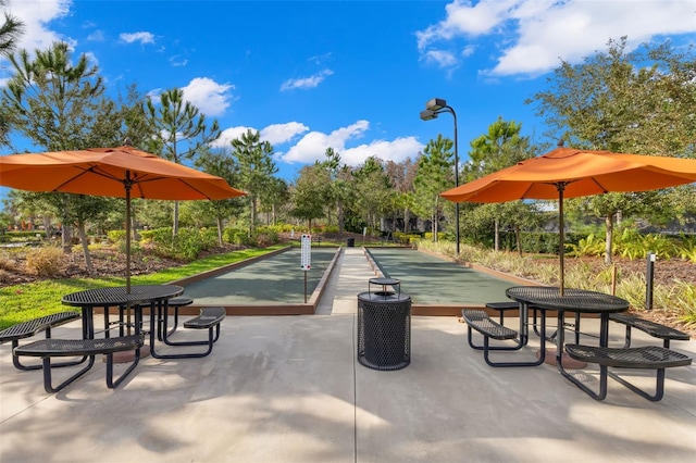 11354 Callisia Dr, Odessa, FL 33556 - surrounding community with a bocce ball area