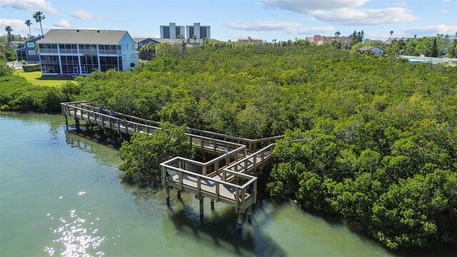 819 Gulf Blvd, Indian Rocks Beach, FL 33785 - photo 34