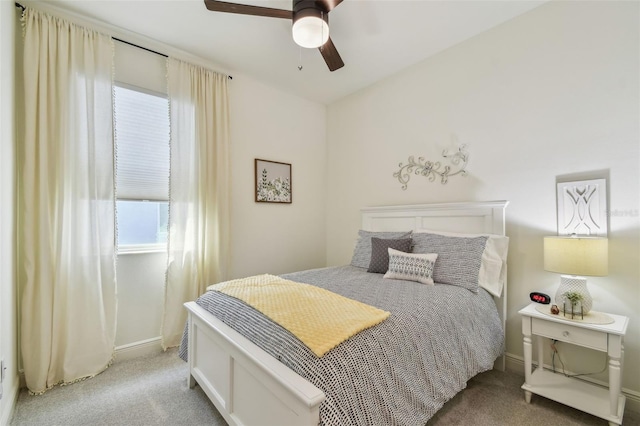 9577 Sandy Bluffs Cir, Parrish, FL 34219 - bedroom with carpet, multiple windows, and baseboards