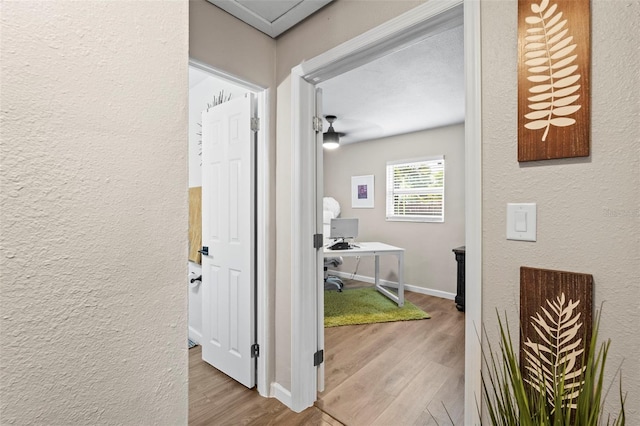 512 Flame Tree Dr, Apollo Beach, FL 33572 - hall featuring a textured wall, wood finished floors, an office area, and baseboards