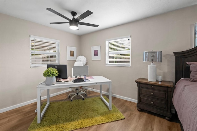 512 Flame Tree Dr, Apollo Beach, FL 33572 - office with a ceiling fan, healthy amount of natural light, baseboards, and wood finished floors