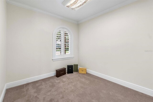 1931 Kentucky Ave NE, Saint Petersburg, FL 33703 - photo 47