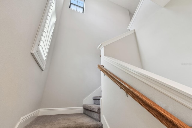 13311 Dorado Shores Ave, Riverview, FL 33579 - stairs with carpet floors and baseboards