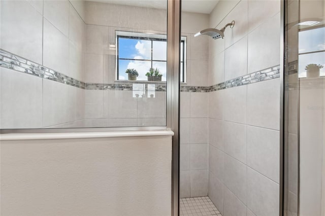 13311 Dorado Shores Ave, Riverview, FL 33579 - full bath with a shower stall