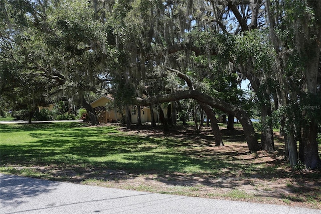 12929 Sugar Creek Blvd, Hudson, FL 34669 - view of grassy yard