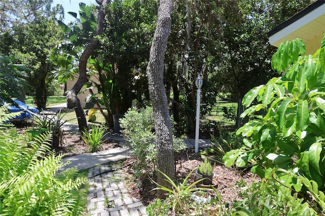 12929 Sugar Creek Blvd, Hudson, FL 34669 - view of yard