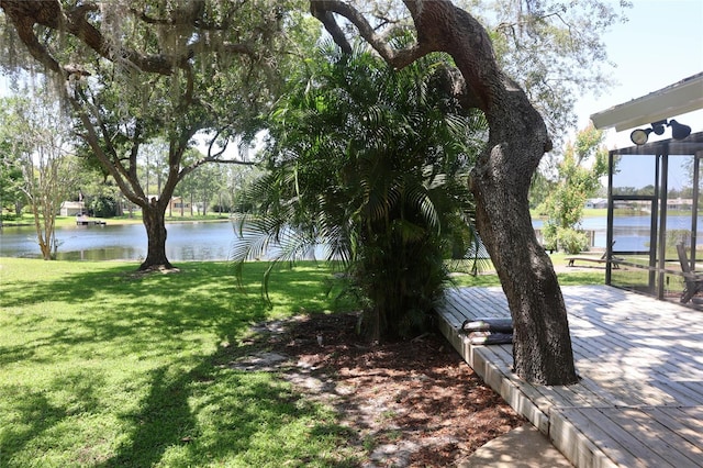 12929 Sugar Creek Blvd, Hudson, FL 34669 - water view