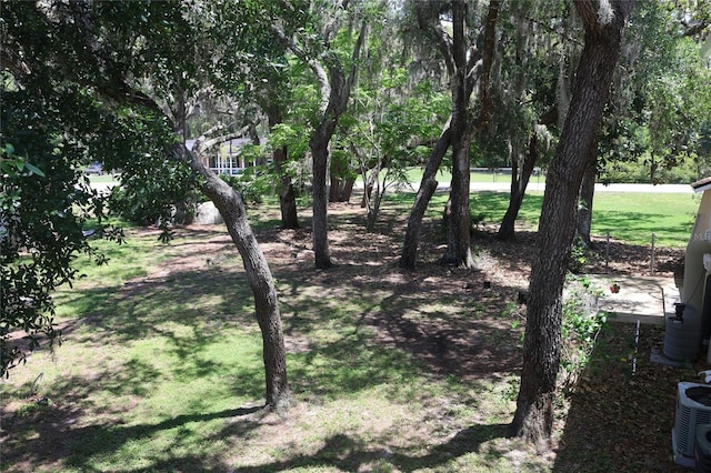 12929 Sugar Creek Blvd, Hudson, FL 34669 - view of green lawn with central AC