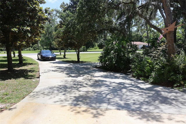 12929 Sugar Creek Blvd, Hudson, FL 34669 - view of home's community with a yard