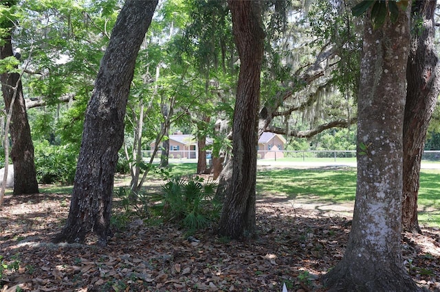 12929 Sugar Creek Blvd, Hudson, FL 34669 - view of yard