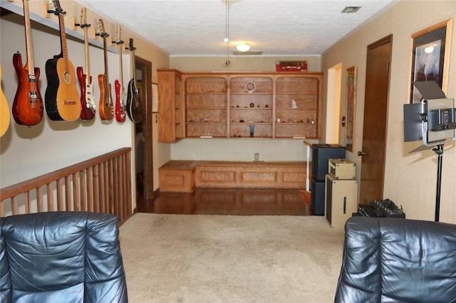 12929 Sugar Creek Blvd, Hudson, FL 34669 - hallway with carpet flooring and a textured ceiling