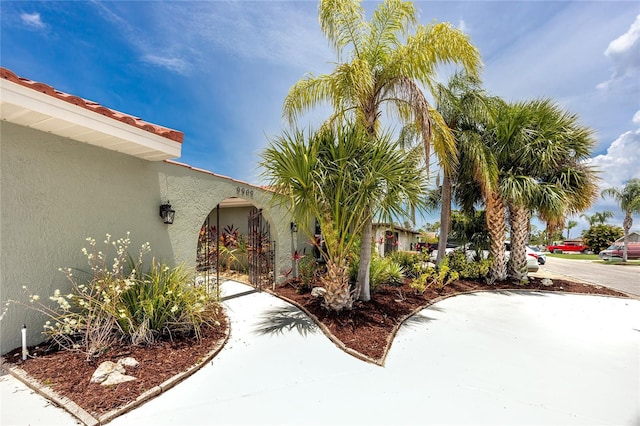 9909 San Mateo Way, Port Richey, FL 34668 - doorway to property with stucco siding