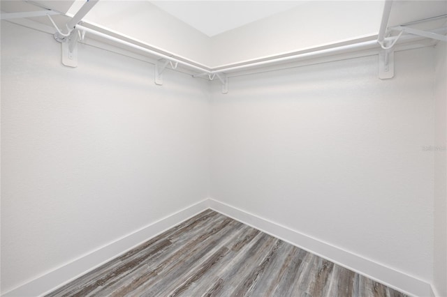 9909 San Mateo Way, Port Richey, FL 34668 - spacious closet with wood finished floors