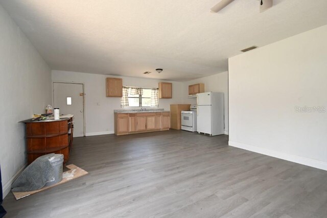 14312 1st St, Dade City, FL 33525 - photo 4