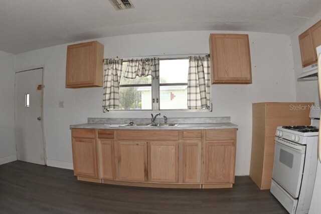 14312 1st St, Dade City, FL 33525 - photo 9