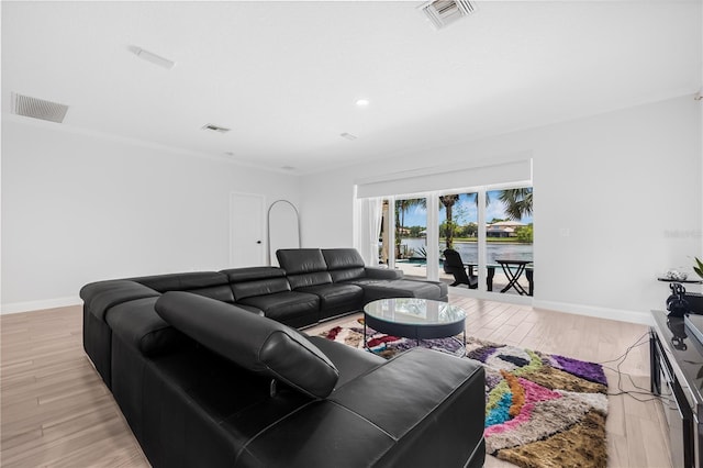 18036 Java Isle Dr, Tampa, FL 33647 - photo 15