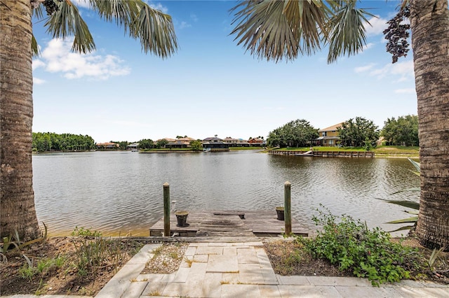 18036 Java Isle Dr, Tampa, FL 33647 - photo 33