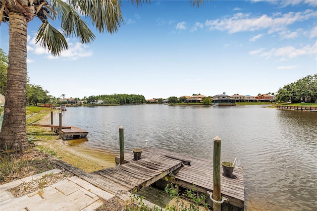 18036 Java Isle Dr, Tampa, FL 33647 - photo 34