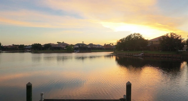 18036 Java Isle Dr, Tampa, FL 33647 - photo 35