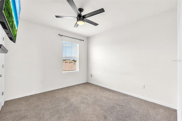 14135 Arbor Pines Dr, Riverview, FL 33579 - empty room featuring carpet flooring, ceiling fan, and baseboards