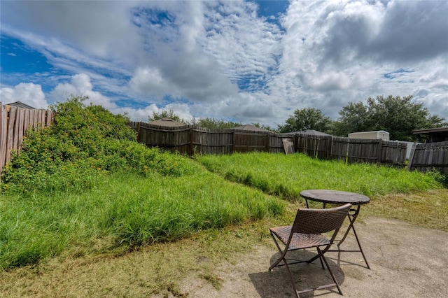 11334 Ivy Flower Loop, Riverview, FL 33578 - photo 25