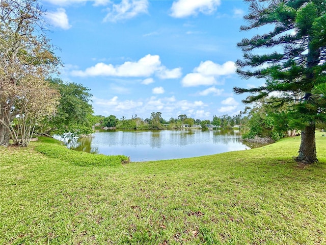 6700 14th St N, Saint Petersburg, FL 33702 - water view