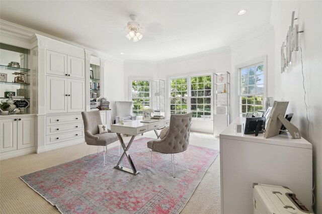 16502 Millan De Avila, Tampa, FL 33613 - office area featuring carpet, ornamental molding, and recessed lighting