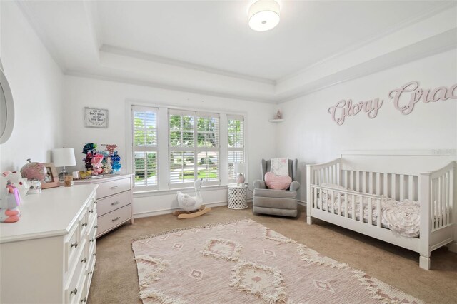 16502 Millan De Avila, Tampa, FL 33613 - bedroom featuring light colored carpet, a tray ceiling, and a crib