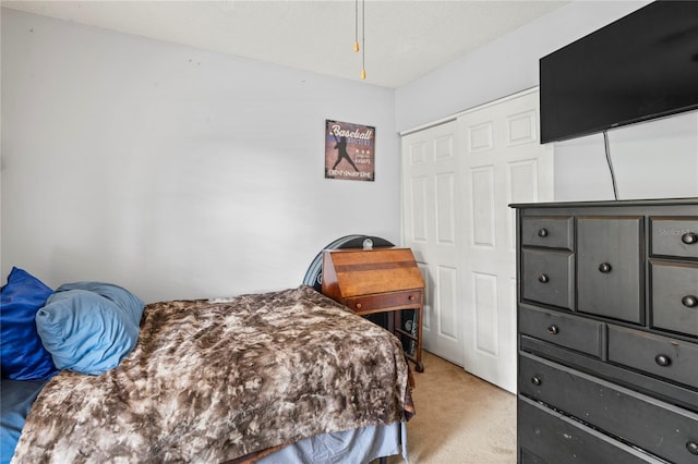 802 Antler Ct, Brandon, FL 33511 - bedroom with light carpet