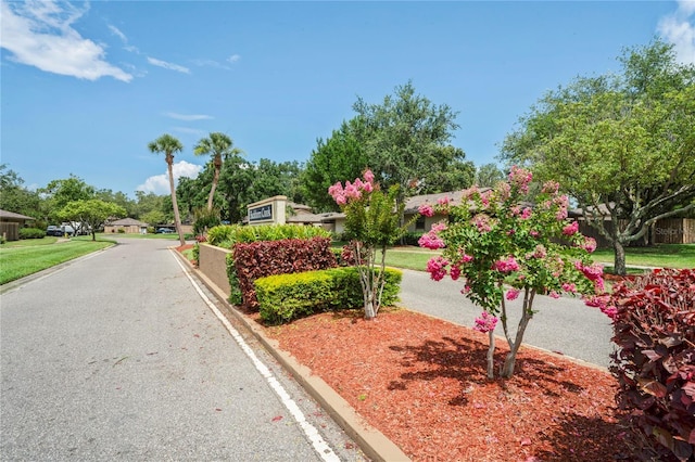 802 Antler Ct, Brandon, FL 33511 - view of asphalt street with curbs