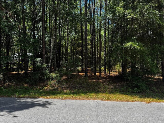 SW 202nd Ct, Dunnellon, FL 34431