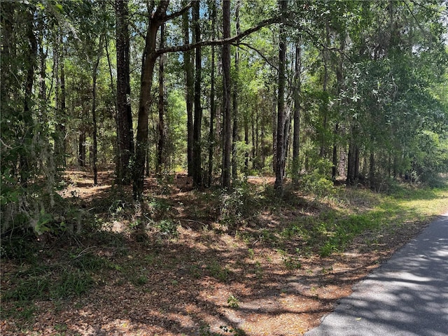 SW 202nd Ct, Dunnellon, FL 34431