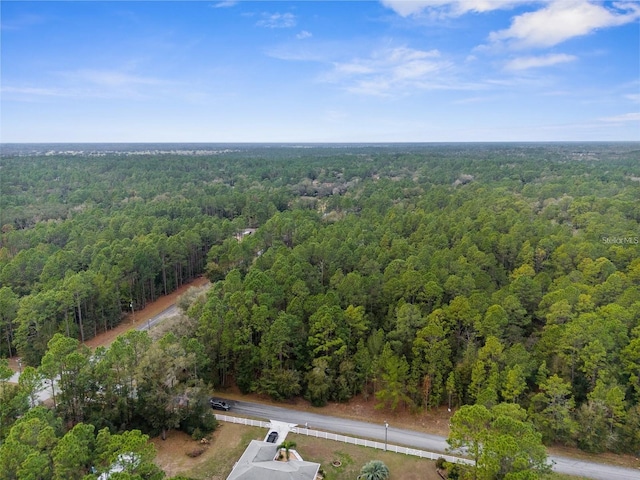 SW 202nd Ct, Dunnellon, FL 34431